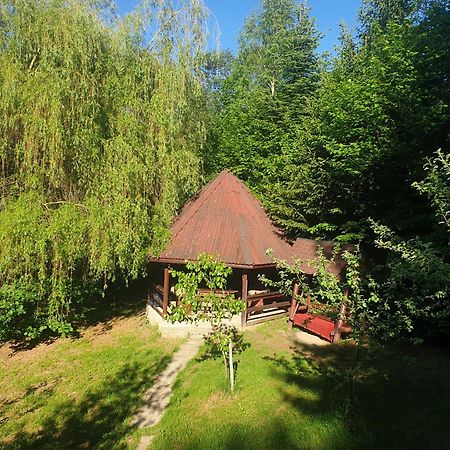 Casa Lacramioara Vila Sîmbăta de Sus Exterior foto