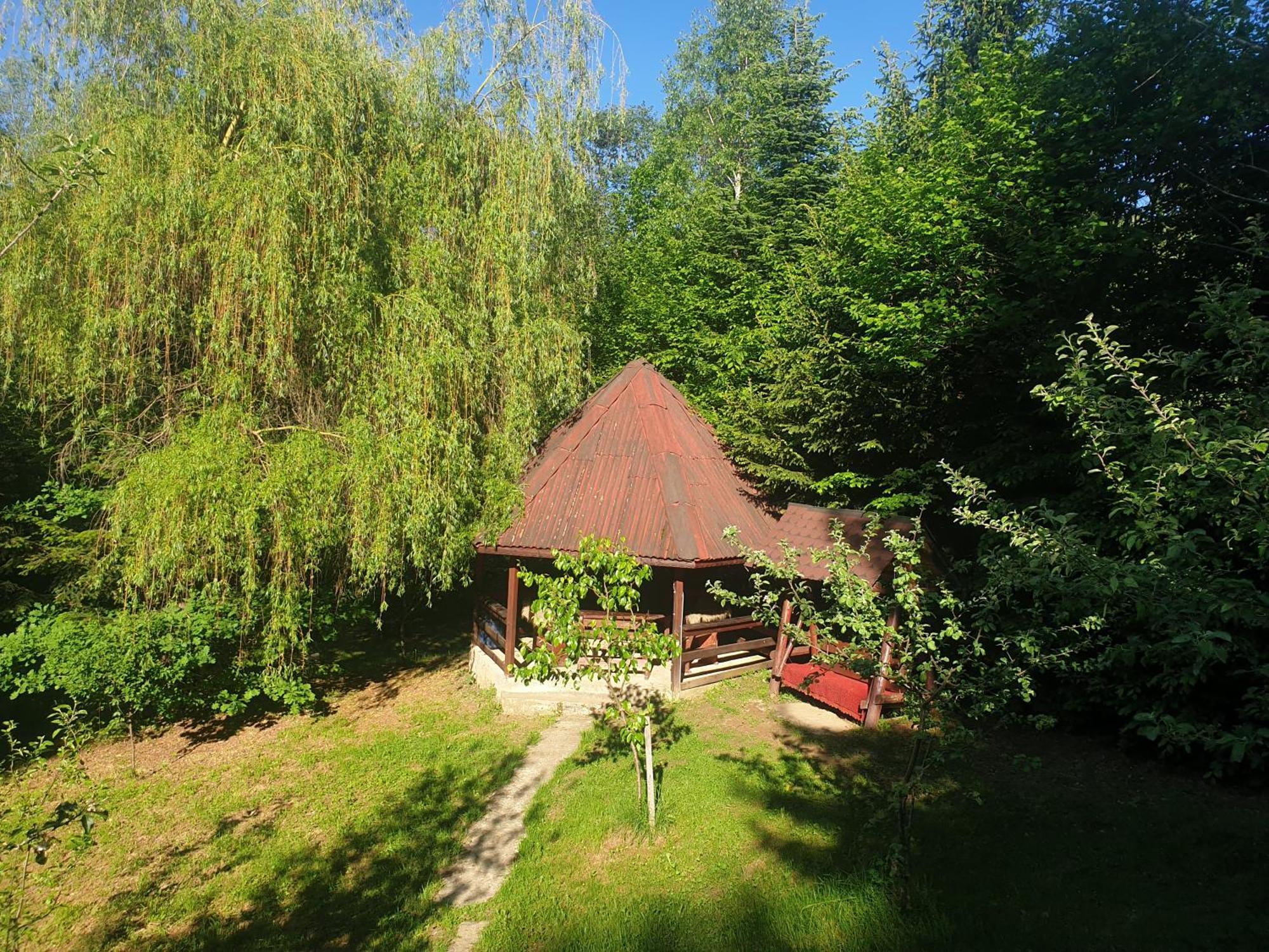 Casa Lacramioara Vila Sîmbăta de Sus Exterior foto