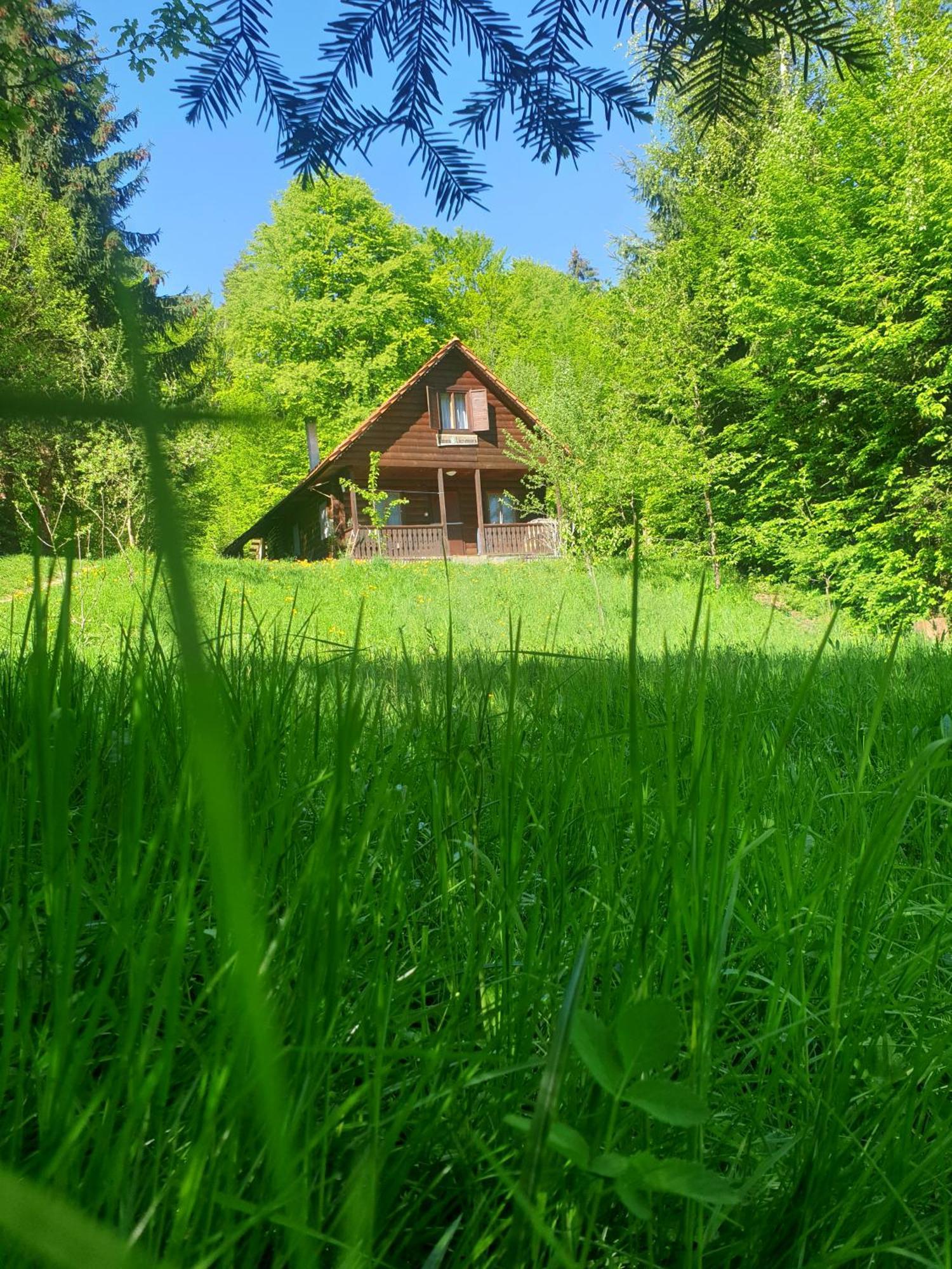 Casa Lacramioara Vila Sîmbăta de Sus Exterior foto