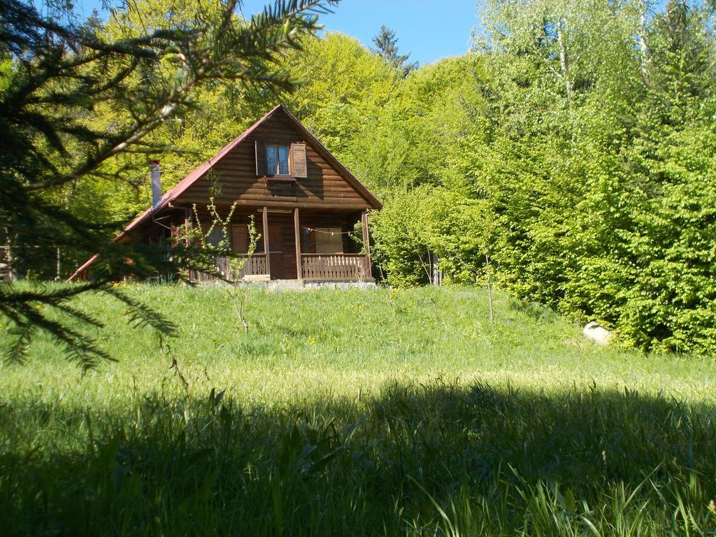 Casa Lacramioara Vila Sîmbăta de Sus Exterior foto